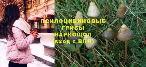 прущий лед Козельск