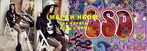 молекула духа Козловка