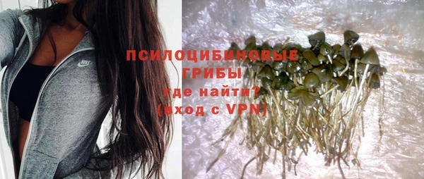 прущий лед Козельск