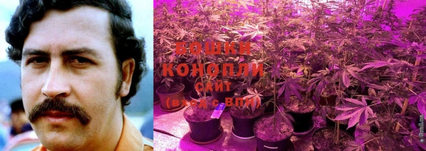 молекула духа Козловка