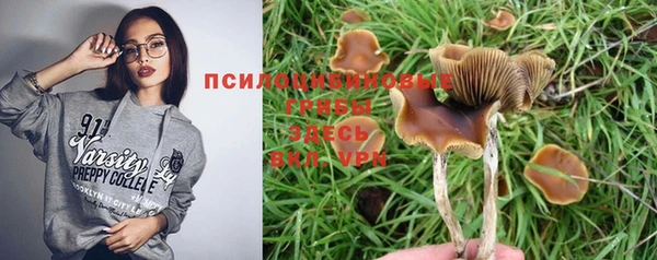 молекула духа Козловка