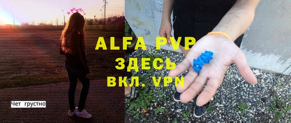 индика Кодинск