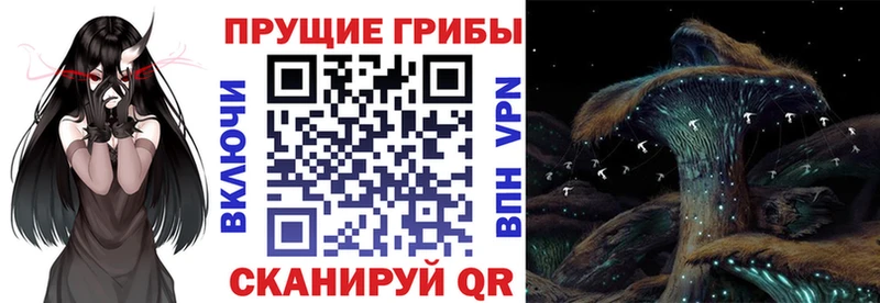 Псилоцибиновые грибы мухоморы  Верея 